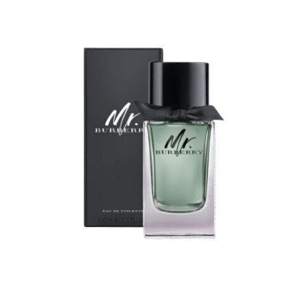 BURBERRY MR. BURBERRY EDP 100ML