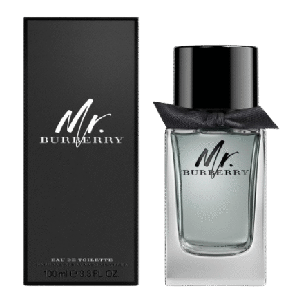 BURBERRY MR. BURBERRY EDT 100ML